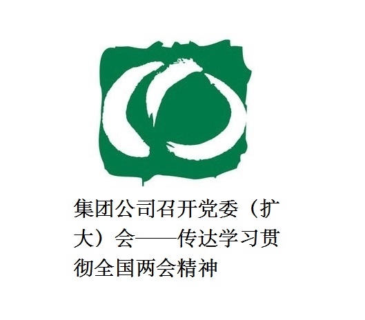 集團公司召開黨委（擴大）會——傳達學(xué)習貫徹全國兩會精神