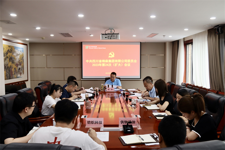 集團(tuán)公司召開2023年第24次黨委（擴(kuò)大）會議