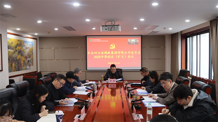 集團(tuán)公司召開2025年第42次黨委（擴(kuò)大）會(huì)議