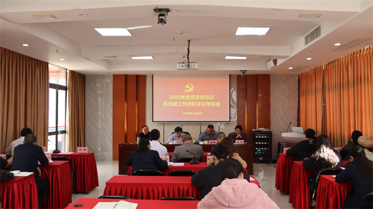 棉麻集團召開2025年度黨支部書記抓黨建工作述職評議會
