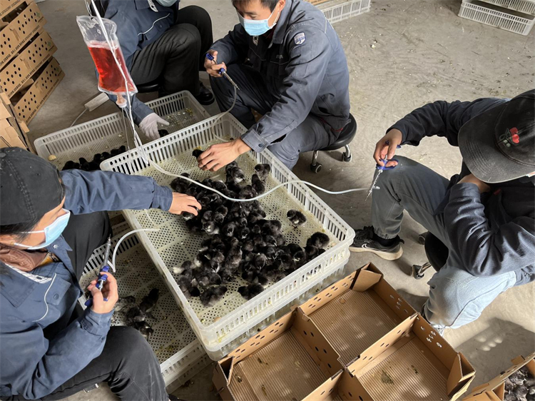 1772607089331938.jpg 圖片1.jpg